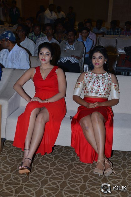 Intlo-Dayyam-Nakem-Bhayyam-Movie-Trailer-Launch